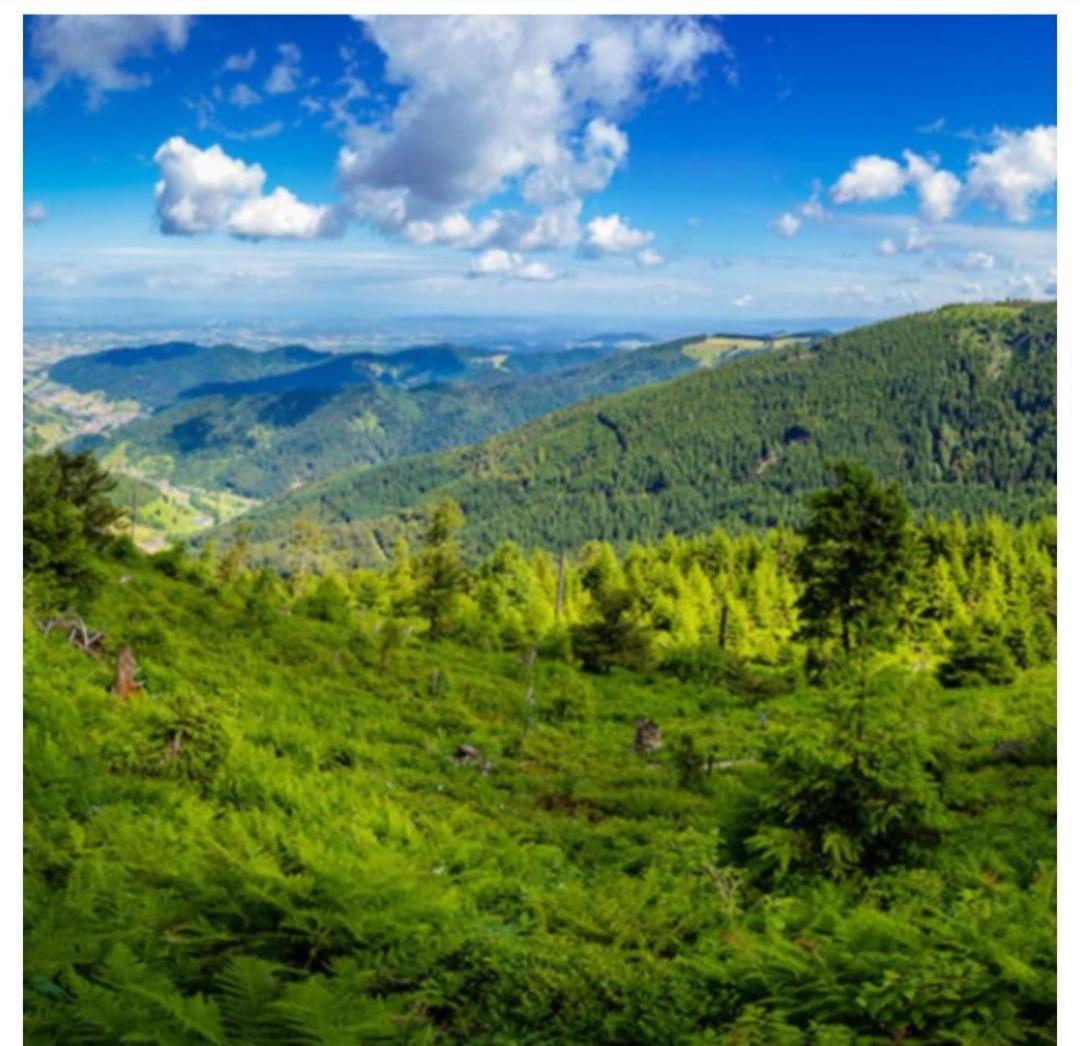 Naturblick 바이에르스브론 외부 사진